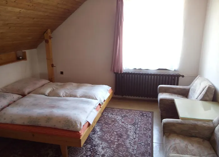 شقة Penzion Vazec *